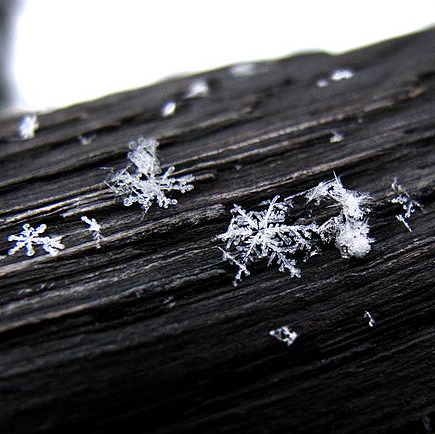 snow flake - wiki