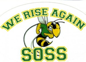 hornets decal22