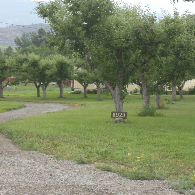 a a fish farm22