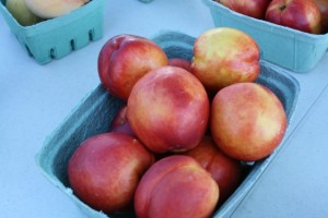farmers market1