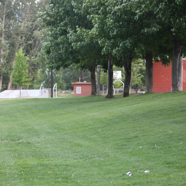 field22