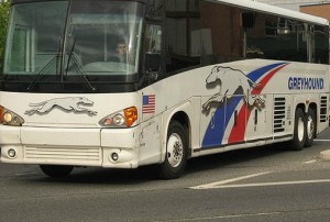 greyhound22