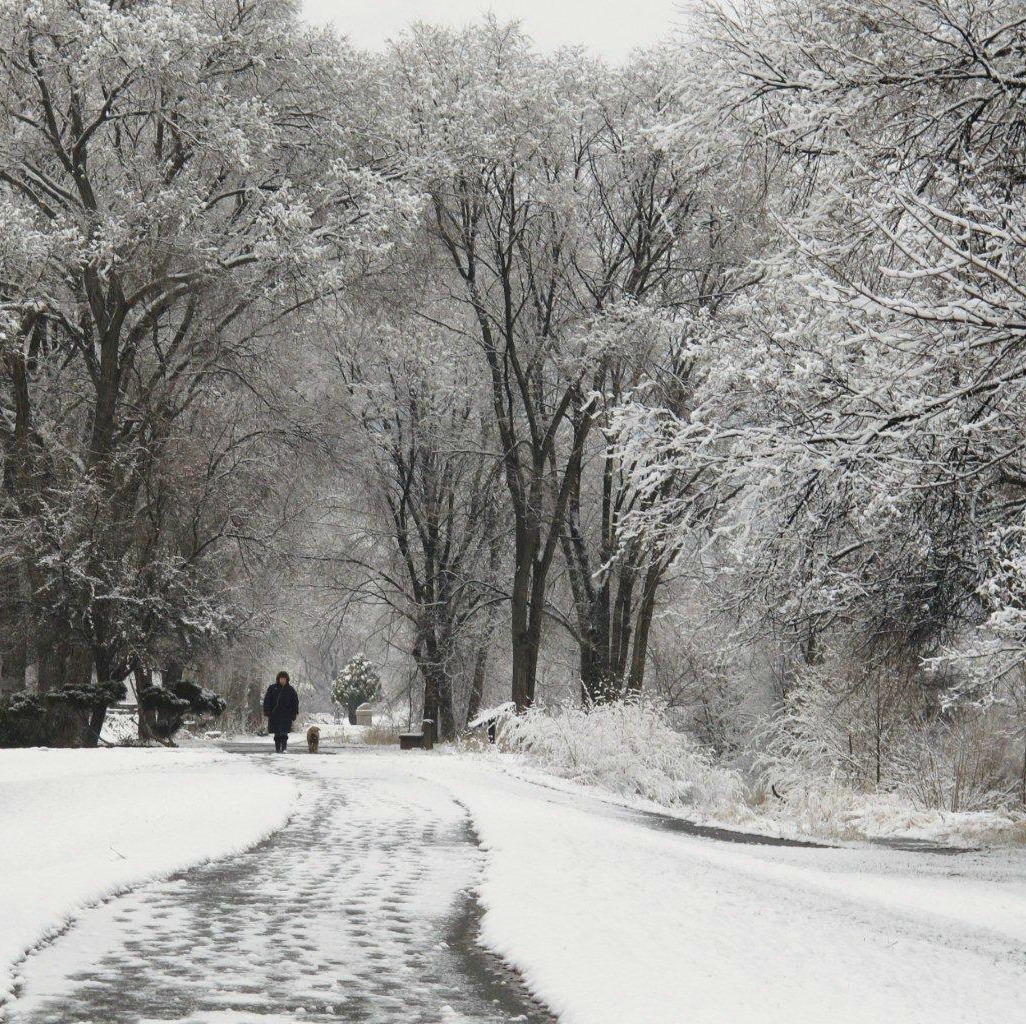 chapman walk22
