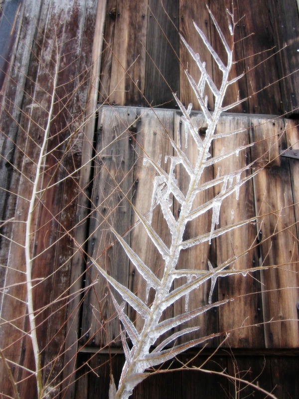 icicles22