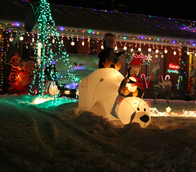 lawn lights22
