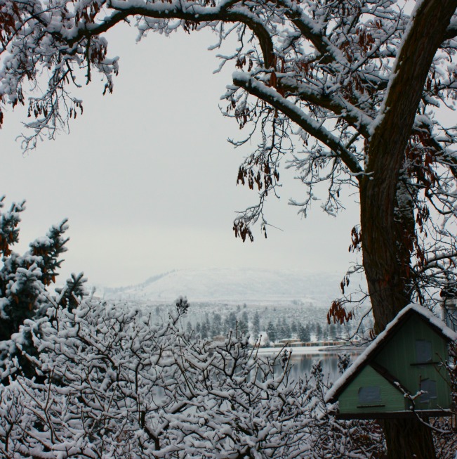 out my window
