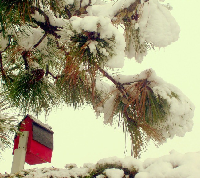 red house22