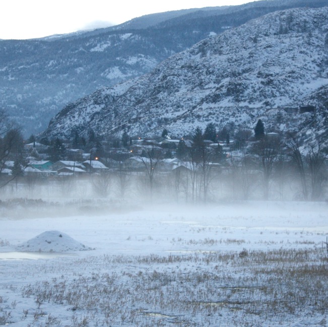 winter blows2