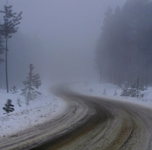 Baldy fog bedard22