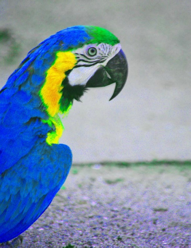 Costa Rica