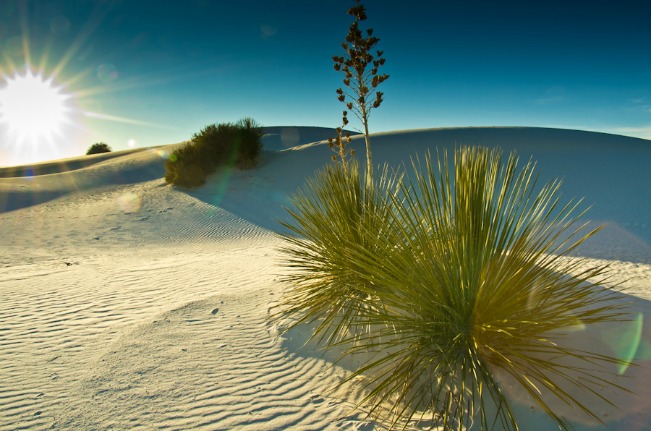 White Sands 222