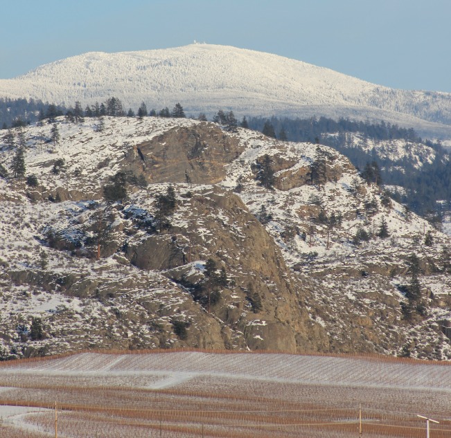 bigger baldy22