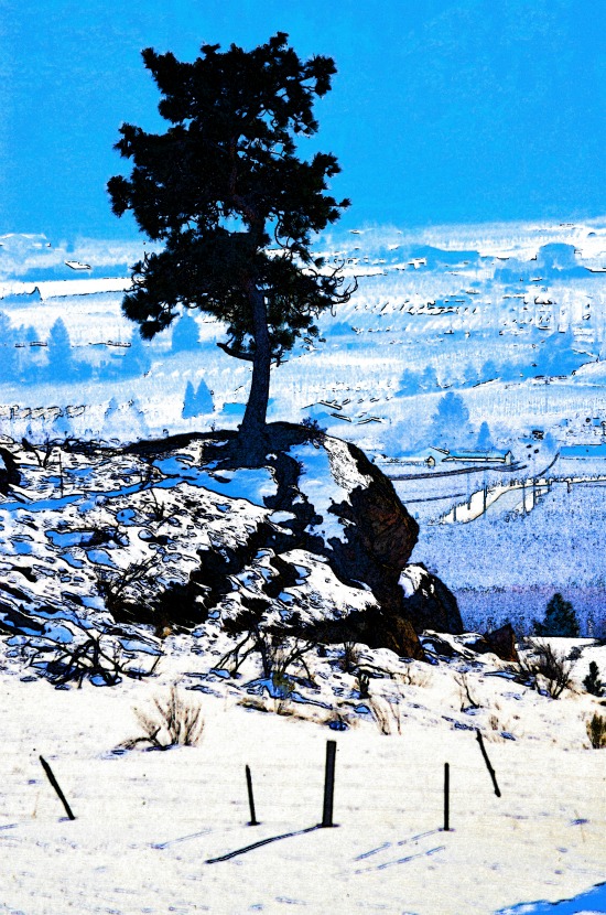 fried tree22.jpg
