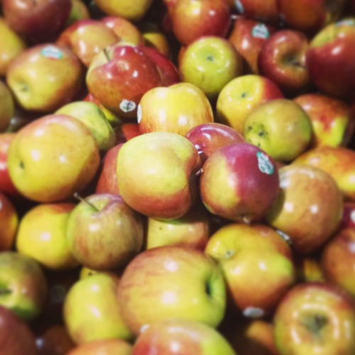 joel apple22