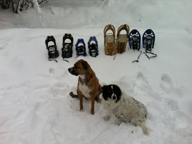 sonja1