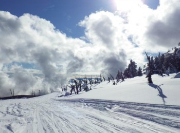 baldycloud22