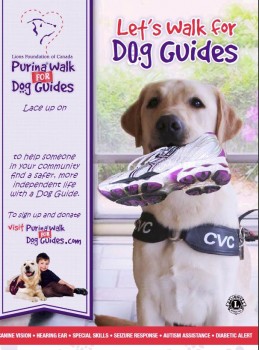 purina walk