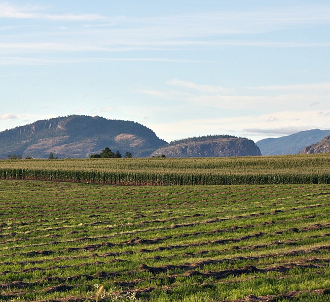 a upper corn22