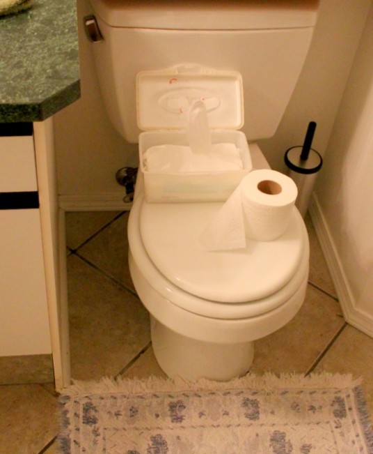 flush22