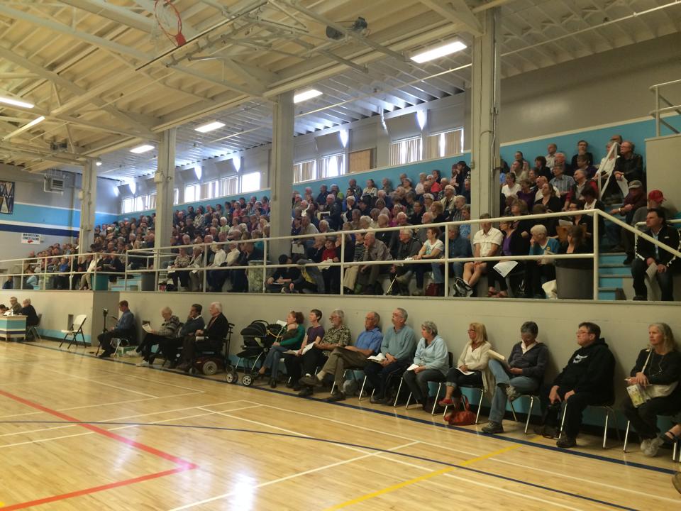 crowd