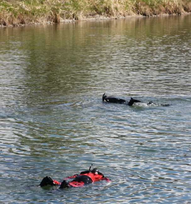 diver two22