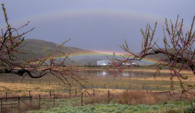 roger rainbow22