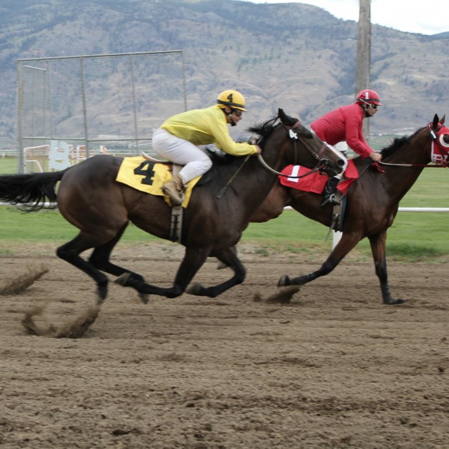 brian horse22