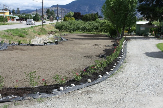 garden22