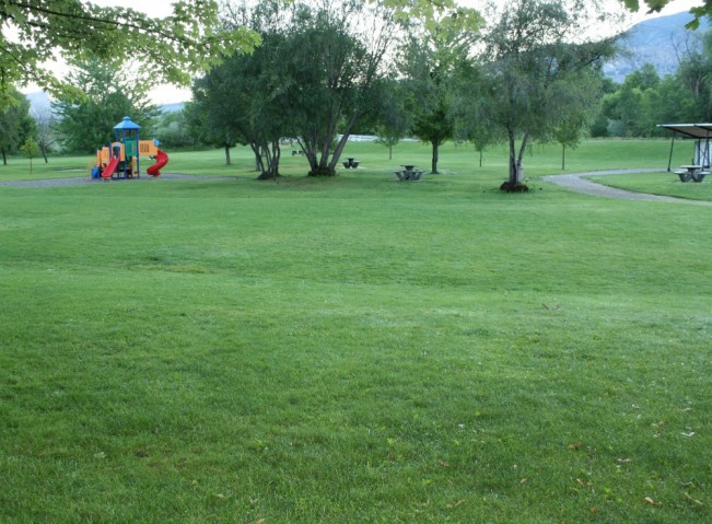 lions park44