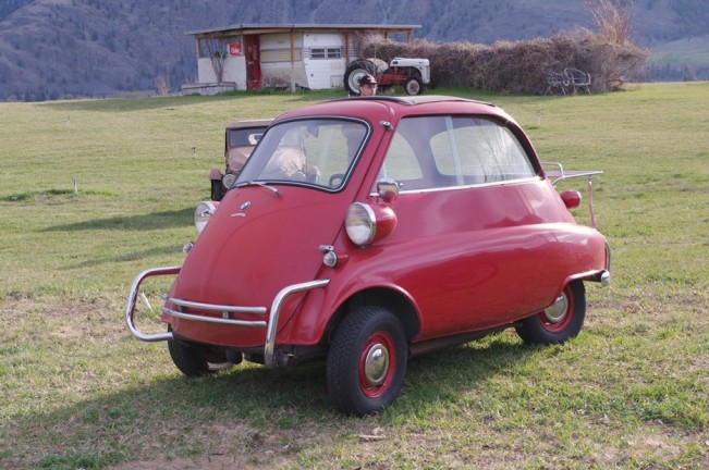 netta22
