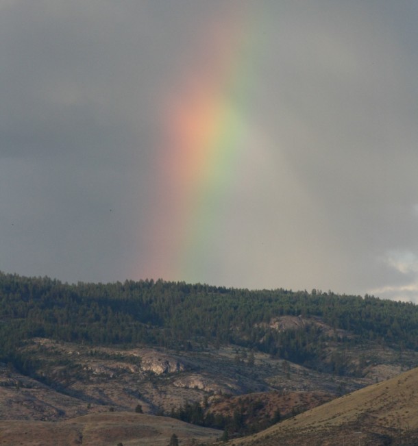 rainbow connection