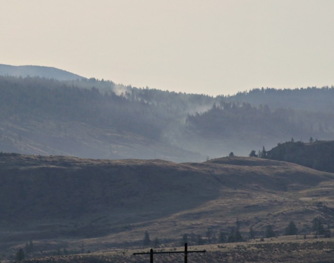 smokey22