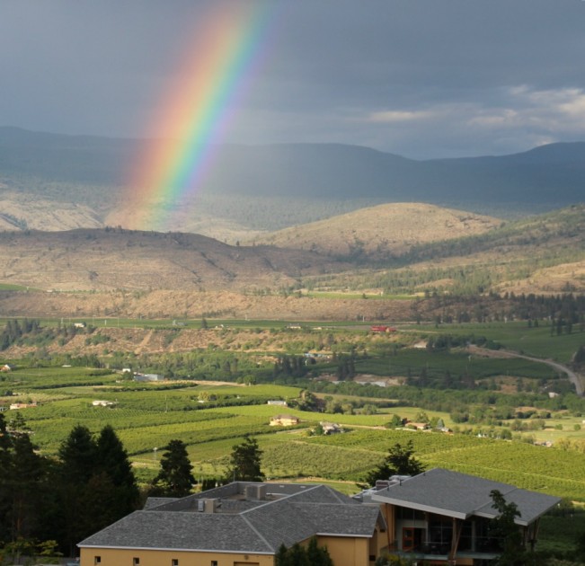 tinhorn rainbow22