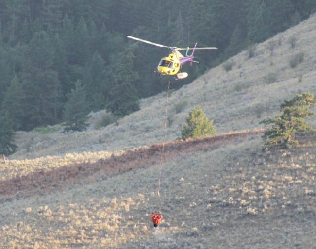 chopper22