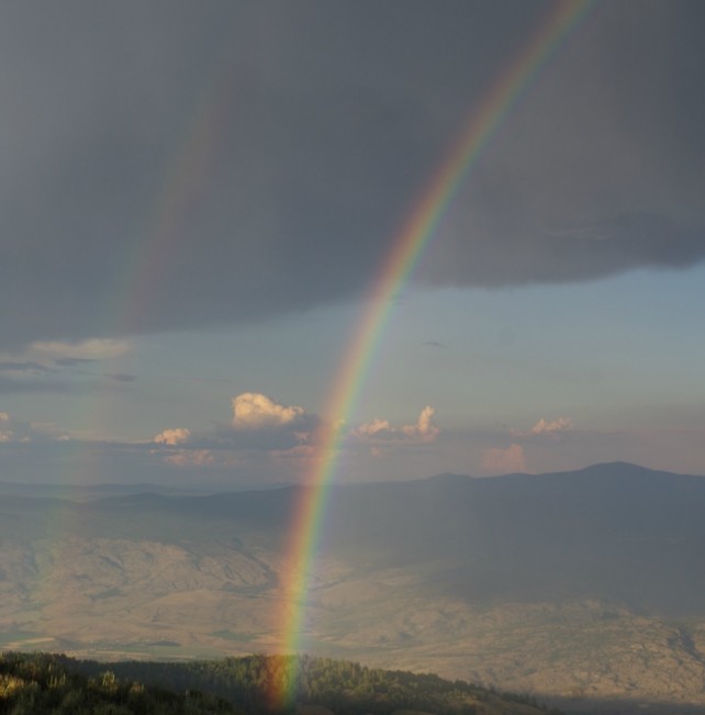 dave rainbow22