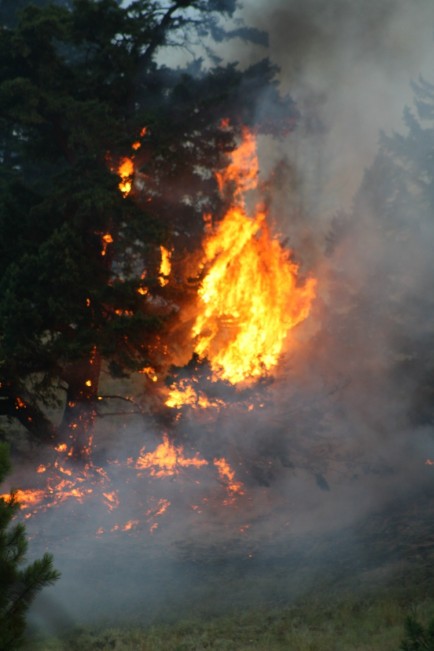 dixon fire22