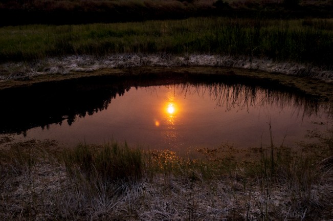 roger pond sun
