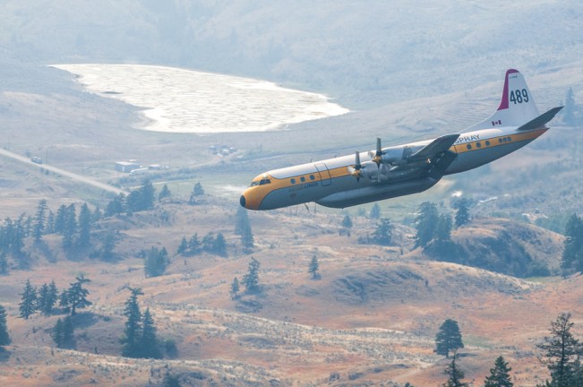 spotted plane
