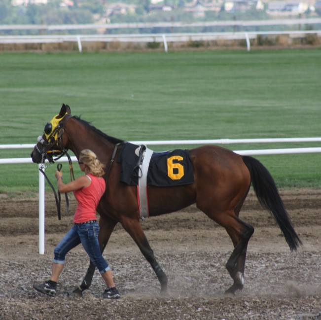 looks like a winner22