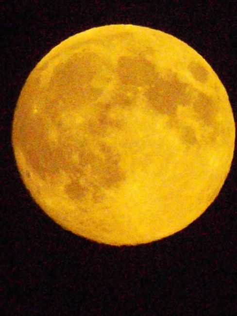 michaud moon11