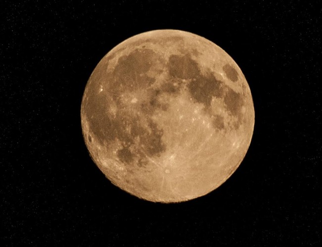 moon shot roger