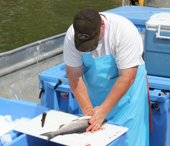 trout three22