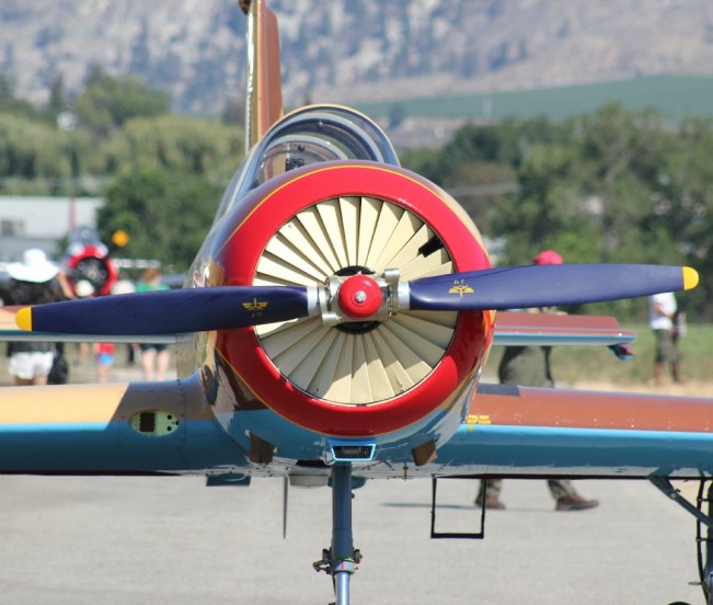 plane turtle four