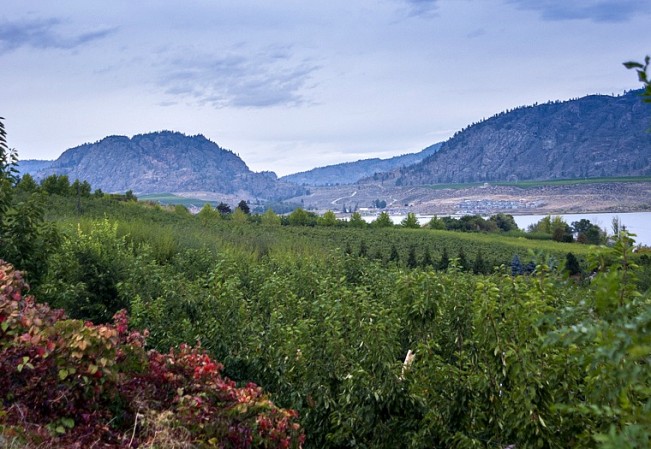 rogers valley22
