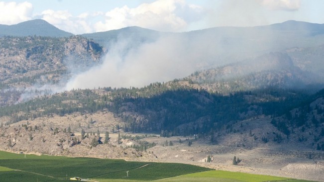 roy pic fire22