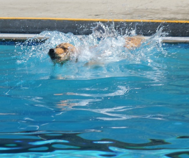 splash222
