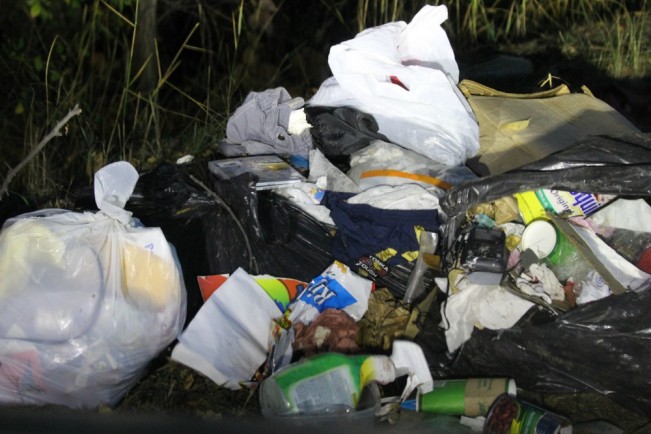garbage one dora22