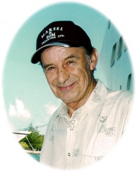 joe marsel