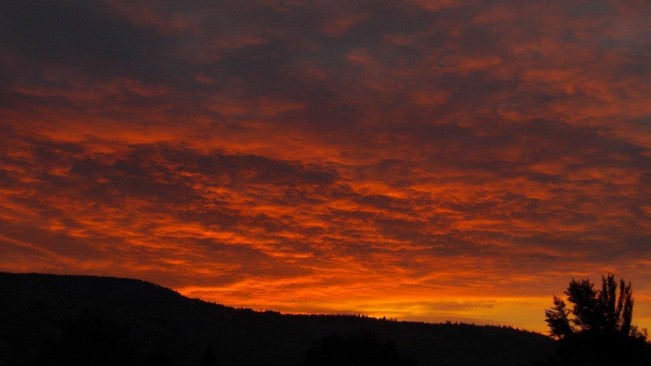 surise doris22