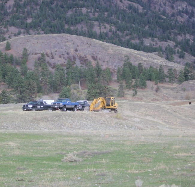 wild horses22